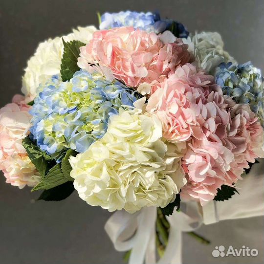 Букет цветов гортензии букет гигант