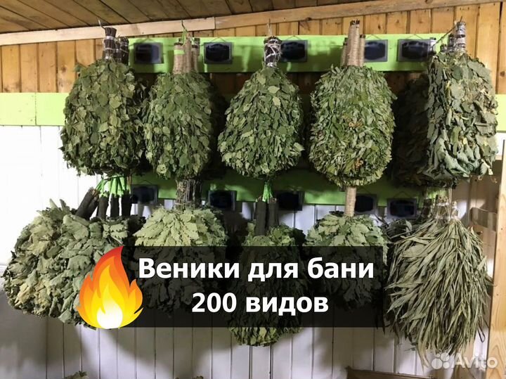 Веник пихтовый для бани Только оптом от 100шт