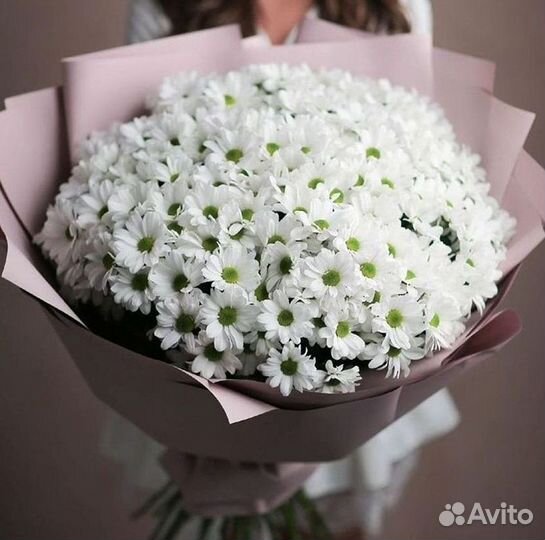 Хризантема Доставка цветов