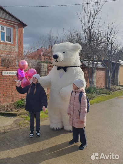 Белый мишка на поздравление «Mishki Show»