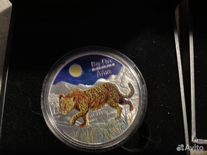 Серебряные монеты kangoo