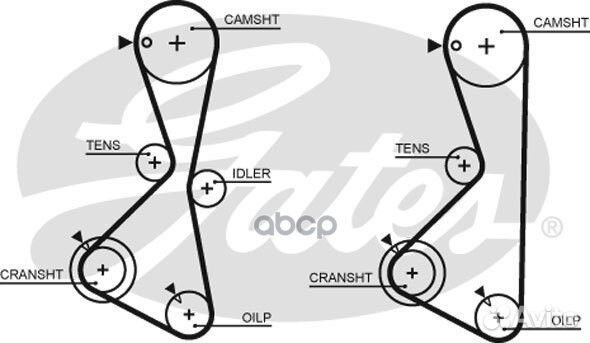 76123x29 HSN Ремень грм 5373XS Gates