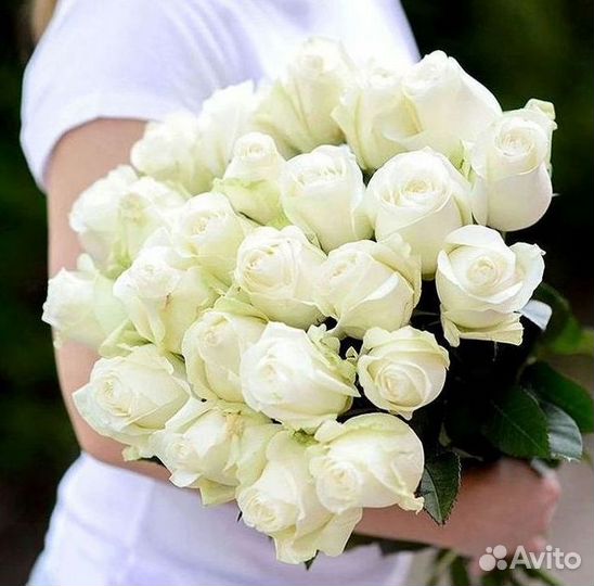 Высокие Розы Гиганты Доставка Круглосуточно