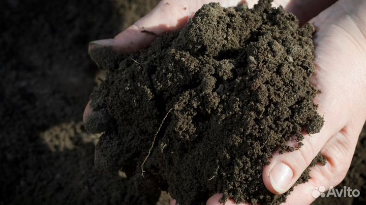 Торфогрунт