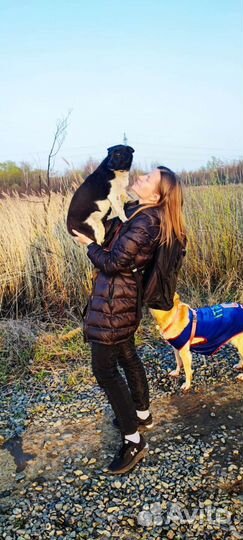 Ищу дом для Маси