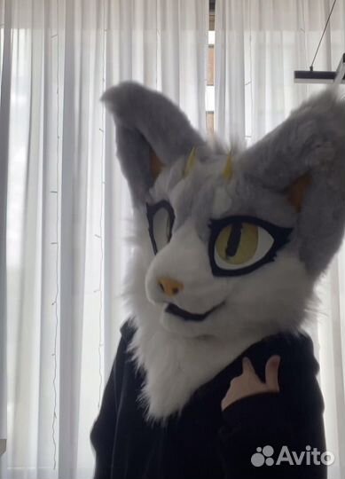 Фурсьют кошки