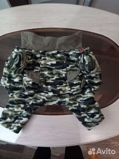 Вещи для собак мелких пород