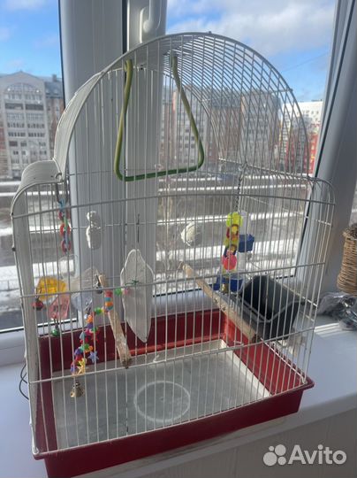 Клетка для попугая