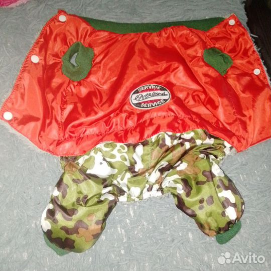 Одежда для собак мелких пород