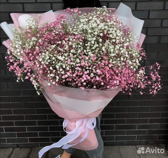 Гипсофила разных цветов с WOW-эффектом