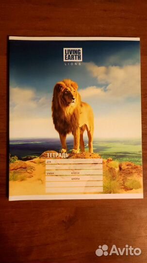 Тетради в линейку, клетку, для черчения