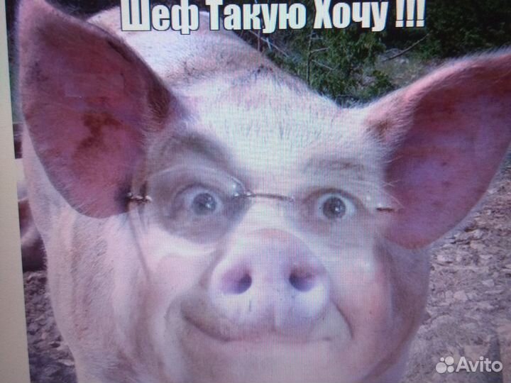 Зернодробилка