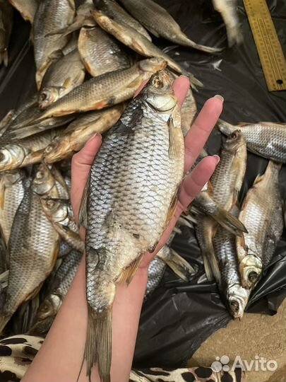 Сушеная рыба Сорога