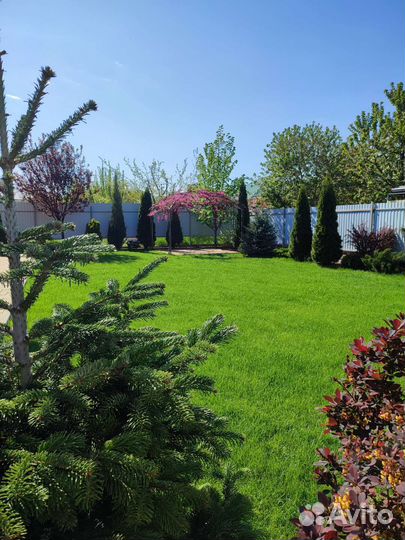 Ландшафтный дизайн. Автополив