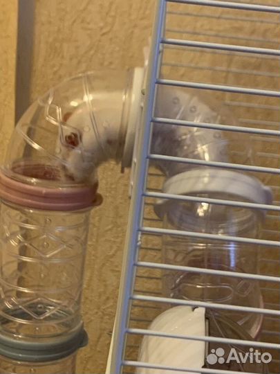 Клетка для грызунов