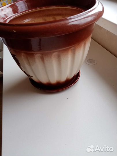 Горшок для пальмы