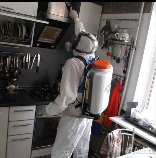 Уничтожение тараков.клопов.Дезинсекция Гарантия