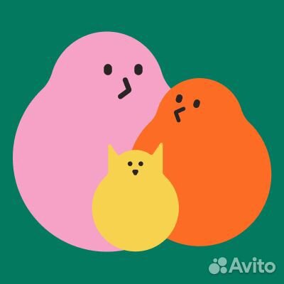 Веб дизайнер и графический дизайнер