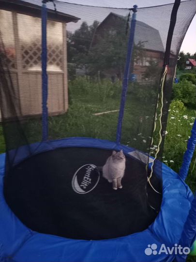 Батут Sport Elite 6FT 1.83см с крышей GB20202-6FT