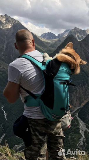 Рюкзак - переноска для собак
