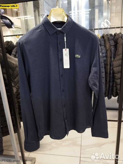 Рубашки Lacoste