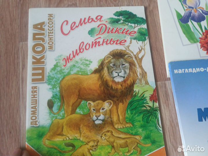 Книжки для занятия с дошкольниками