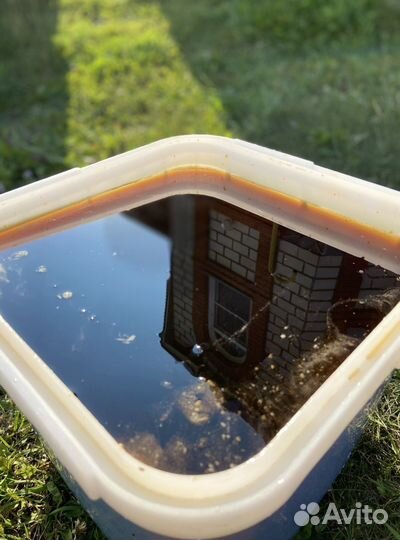 Мед Алтайское разнотравье оптом 2023