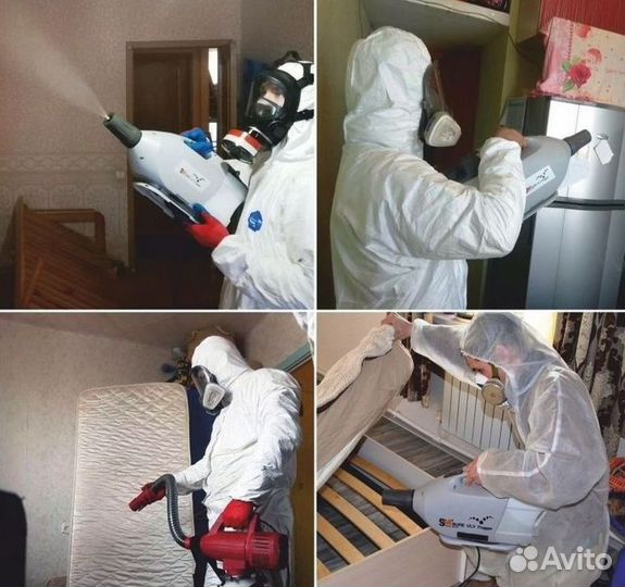 Уничтожение клопов, тараканов, муравьев