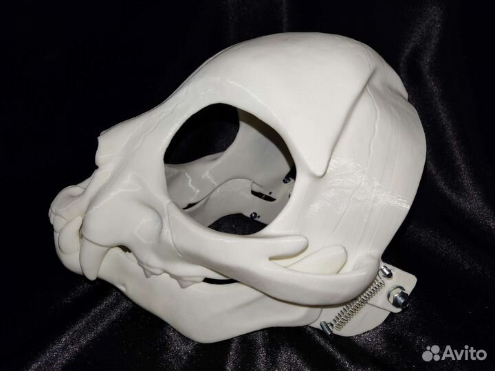 Маска Скулл Кэт