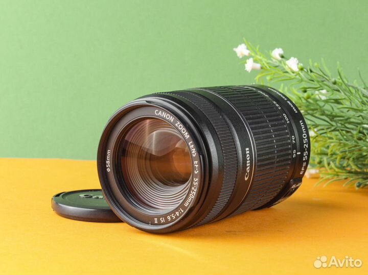 Объектив Canon EF-S 55-250mm f4-5,6 IS ll