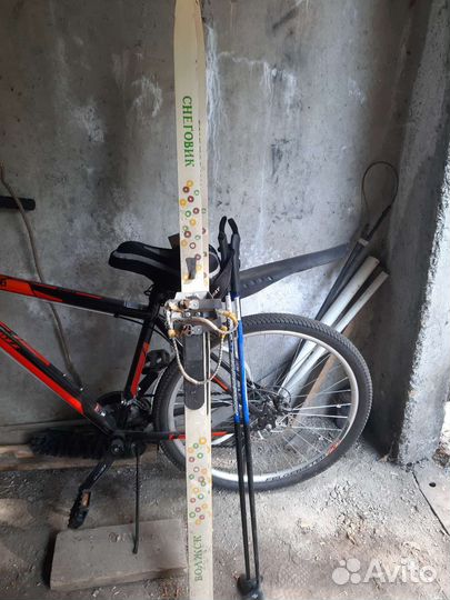 Беговые лыжи