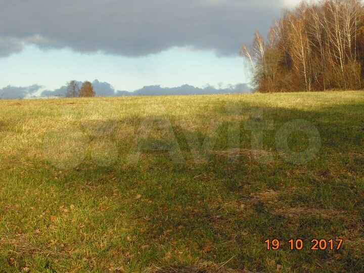 Участок 9,8 га (СНТ, ДНП)