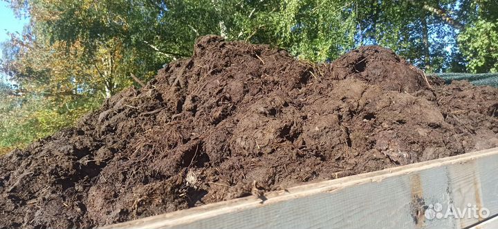 Навоз перегной трёхлетний
