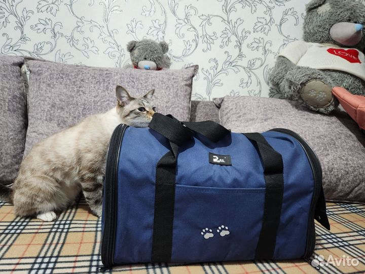 Сумка переноска для кошек