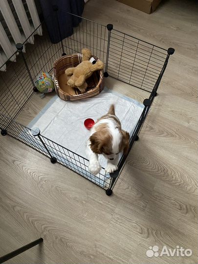 Клетка для щенка или котенка
