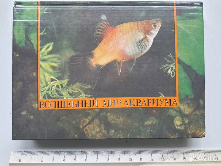 Аквариумистика 1965-2006гг