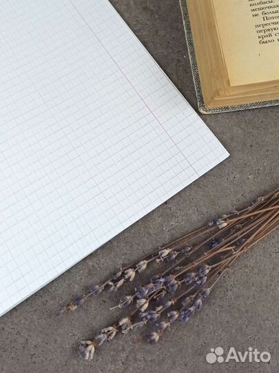 Тетрадь 12 листов в клетку, белые листы