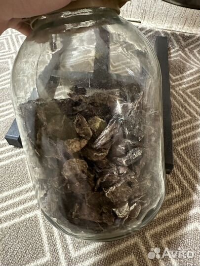 Набор для средней или большой собаки