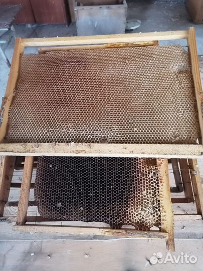 Улей для пчел