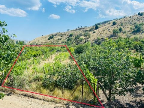 Участок 4 сот. (СНТ, ДНП)