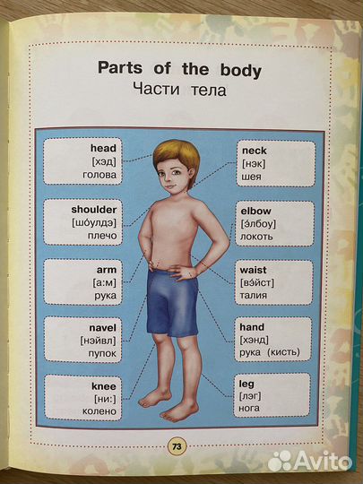 Англо русский визуальный словарь