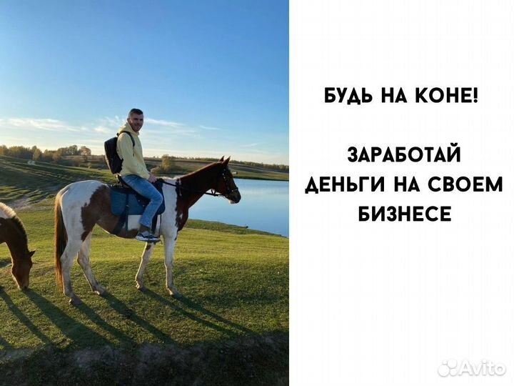 Доход от 100 тыс Дропшиппинг Товарный бизнес