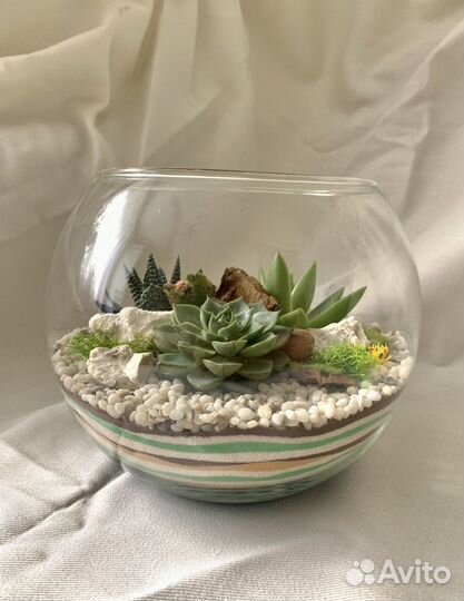 Флорариум Лесной уют