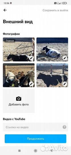 Бычки на доращивание