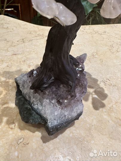 Дерево из камня