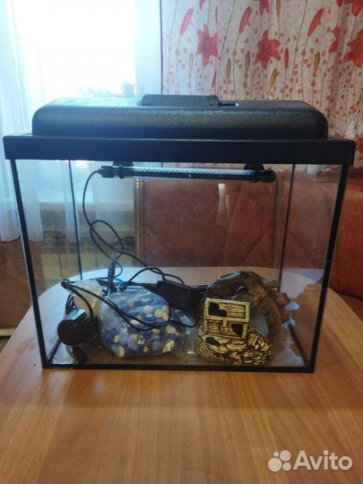 Аквариум