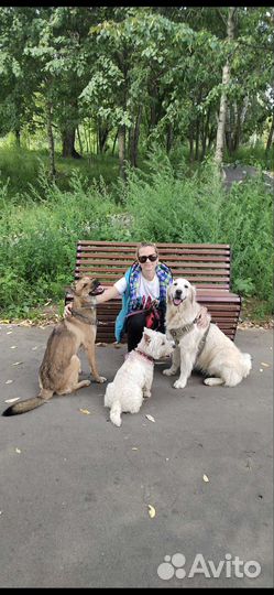 Выгульщик/зооняня р-н Новокуркино.Зоотакси