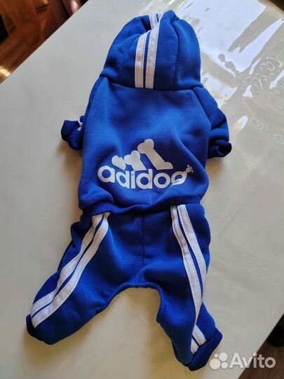 Одежда для маленьких пород собак