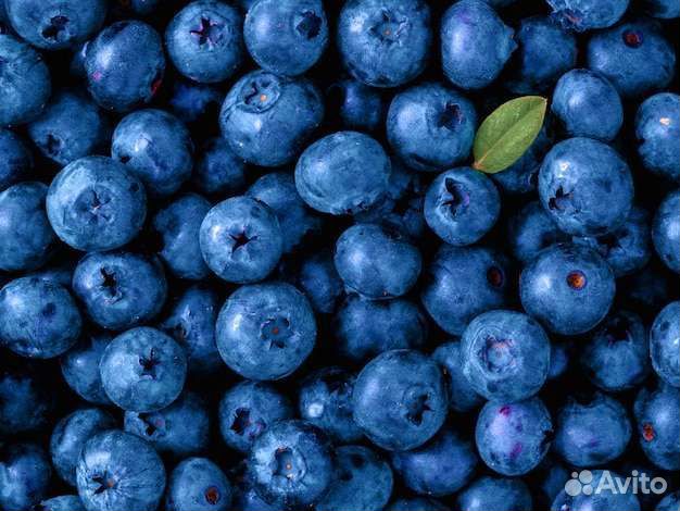 Черника (20л)