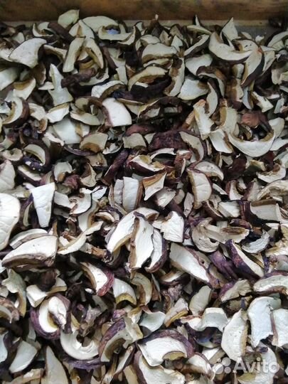 Сухой гриб (грибы белые)